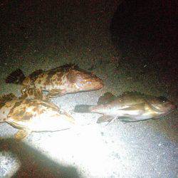 今日は二目達成しましたの巻